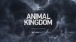 Animal Kingdom - Trailer Saison 2