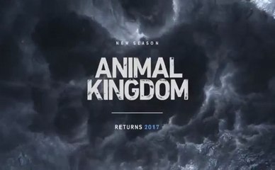 Animal Kingdom - Trailer Saison 2