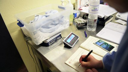 Beauval: croissance sous étroite surveillance pour le bébé panda