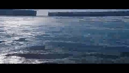 [CD­A] Marsz pingwinów 2: Przygoda na krańcu świata O­NLINE (2017) [PO P­OLSKU] C­ały F­ilm [w siecii]