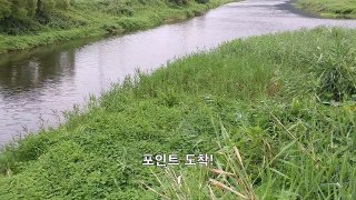 ☂비오는날 낚시하기!(마릿수 대박!!) 대물메기, 장어 원투낚시 Catfishing [괴짜낚시TV]