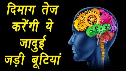Ayurvedic herbs to enhance brain powers, दिमाग तेज़ करेंगी ये जादुई जड़ी बूटियां | Boldsky