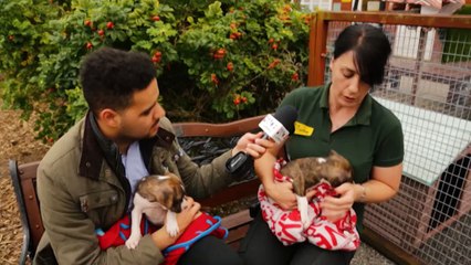 The Lowdown Liverpool - 25th August