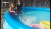 Pet duck gets overly excited about having a dip in the pool