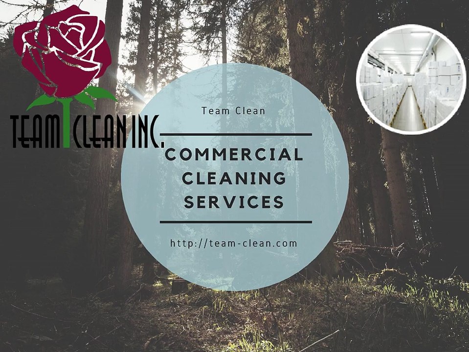 janitorial service company