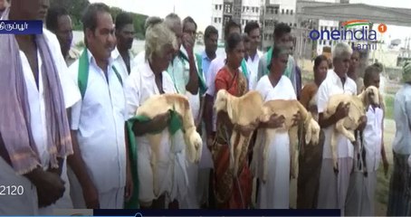 ஆடுகளுடன் வந்து புகார் கொடுத்த பொதுமக்கள்-வீடியோ