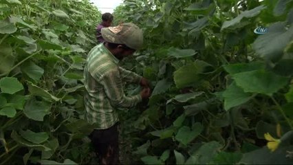 Bilecikli Seracılar Dönüm Başına Verilen Paranın Artırılmasını İstedi
