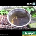 Tamil nadu to take legal action against those who do not clear mosquito breeding