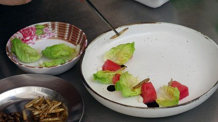 Insetos ‘gourmet’