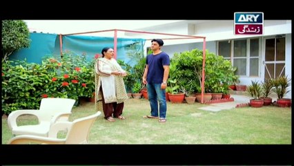 Haal e Dil Episode 201 in High Quality on Ary Zindagi 28th August 2017