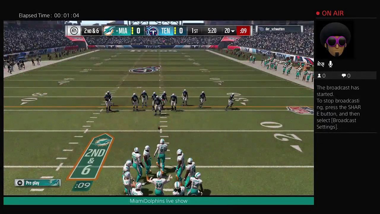 MiamiDolphins live show (13)