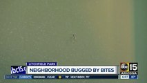 Valley neighborhood taken over by mosquitoes