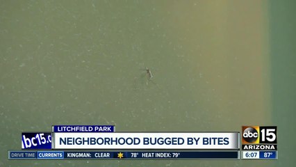 Valley neighborhood taken over by mosquitoes