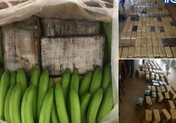 Más de 600 kilos de droga que serian enviado a Bélgica fue decomisado por la Policía Nacional en Guayaquil