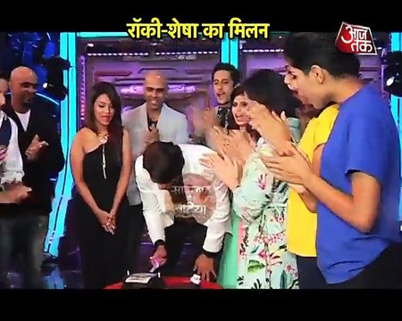 Naagin meets Rocky- Watch what happened when Ada Khan met Karanveer Bohra