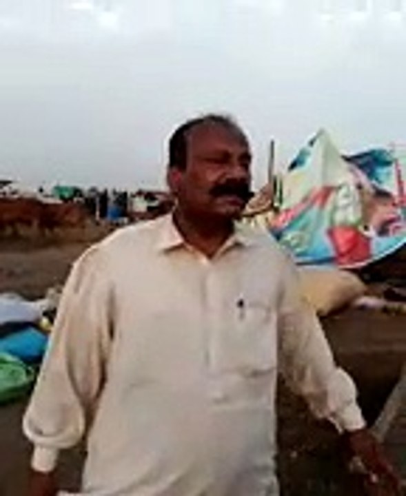 Karachi Mandi