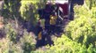 Three Toddlers Injured After Tree Branch Falls on Playgound at California Daycare