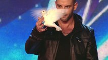 Darcy Oake's jaw-dropping dove illusions _ Britain's Got Talent 2014