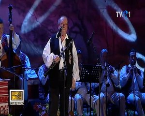 Dumitru Farcas - Tezaur Folcloric