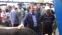 Başbakan Yardımcısı Çavuşoğlu, Sürücüleri Uyardı