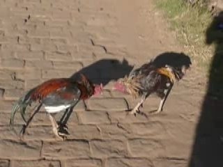 IMPROMPTU #20 - DESCENTE A MADA