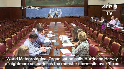 World Meteorological Organisation calls storm Harvey 'nightmare'