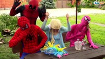 Is Spiderman Dating Pink Spidergirl?! w/ Frozen Elsa Maleficent Hulk Pink Spidergirl! Superhero Fun