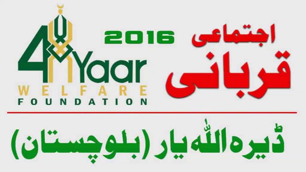 4 Yaar Welfare Foundation Qurbani 2016 -  Dera Allah Yar Balochistan Pakistan