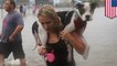 How animals are handling Hurricane Harvey