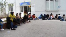 Deniz Yoluyla Romanya'ya Gitmek İsteyen 250 Kaçak Göçmen Yakalandı