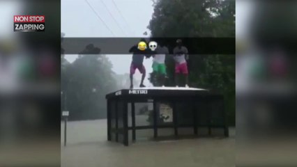 Ouragan Harvey : Ils s’amusent à sauter sur un abribus pendant les inondations (Vidéo)