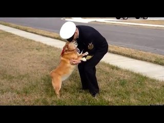 Soldier Reunites With Dog