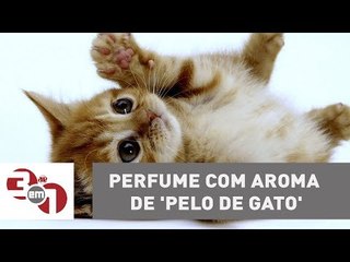 Planeta Madureira: Empresa lança perfume com aroma de 'pelo de gato'