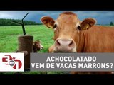 Planeta Madureira: 7% dos americanos acreditam que achocolatado vem de vacas marrons