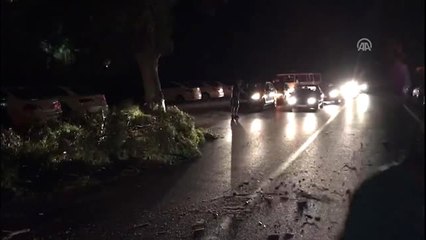 Şiddetli Rüzgar - Bir Ağacın Kırılan Dalları Park Halindeki Aracın Üzerine Devrildi