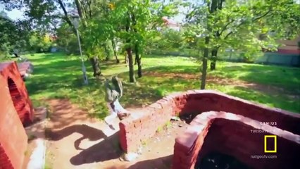 Science for Stupid People