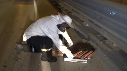 Araçtan Düşen Arı Kovanını Ekipler Topladı