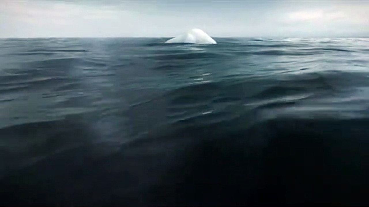 Iceberg (Greenpeace)