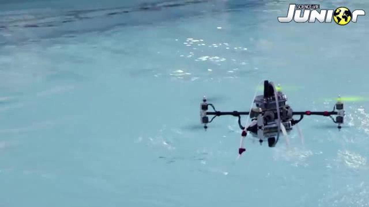 Le Zapping de Science & vie junior#24#