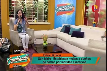San Isidro: opiniones divididas por ordenanza contra el ruido y maltrato animal