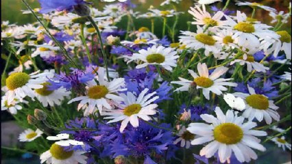 لم يستطع اكمال غسله