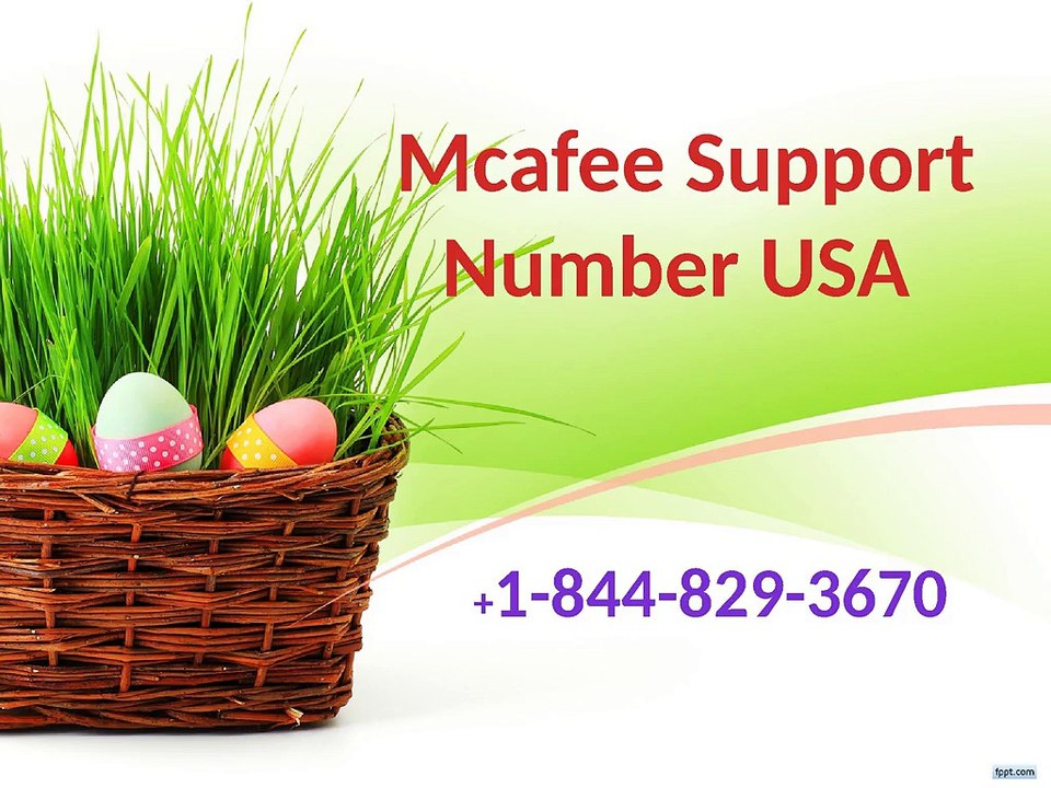 Mcafee Support Number USA