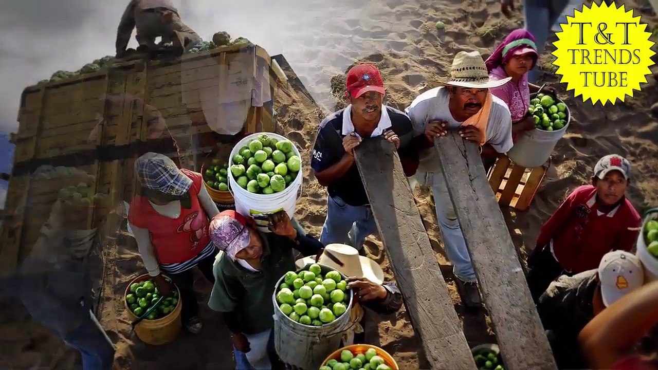 10 Craziest Ways Drug Dealers Smuggle Drugs