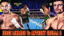 Jorge Linares Espectacular Peleador Mi Opinión