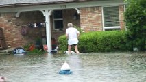 Rescue of a Dog Stranded by Hurricane Harvey