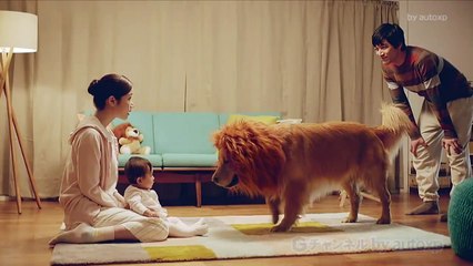 2篇 amazonプライム CM 「ライオン」「馬とポニー」