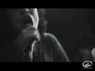 THE BACK HORN - The Black Hole Birthday