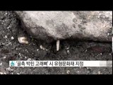 [울산] '골촉 박힌 고래뼈' 시 유형문화재 지정 / YTN