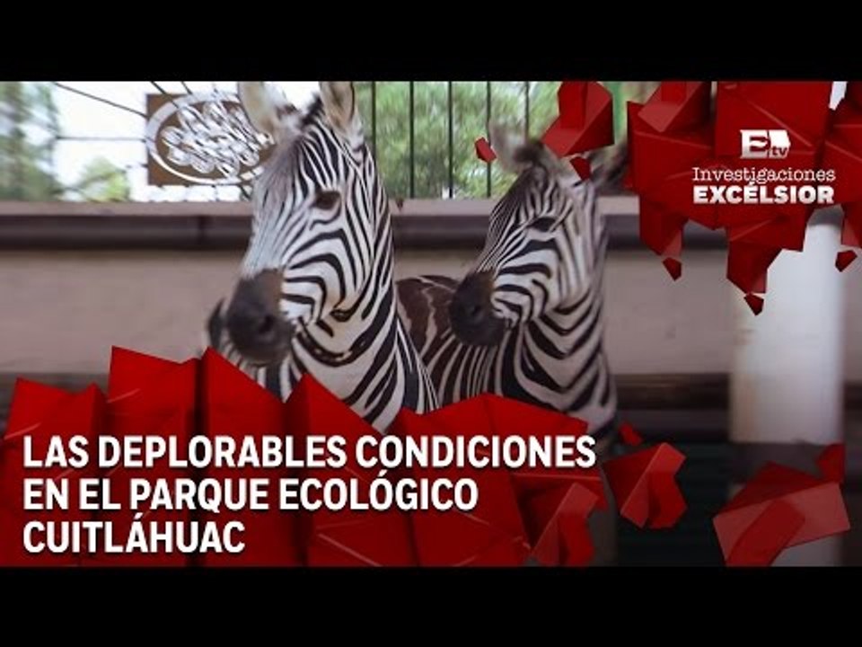 Maltrato en La Granja Segunda Entrega: Condiciones de vida de los animales