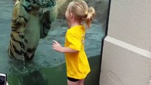 Girl plays with a swimming Tiger